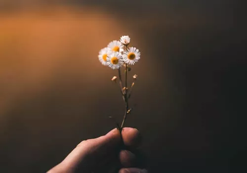 情绪调节